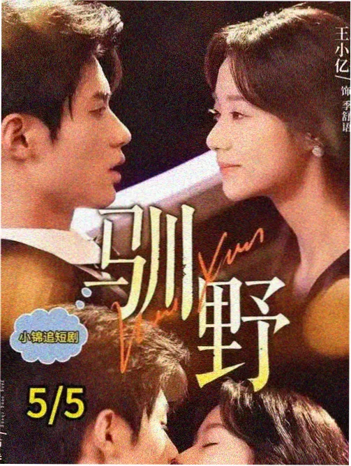 冬歇期的信剧集卡片封面